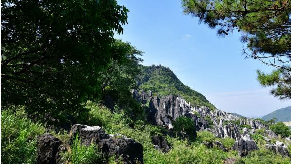 廣西賀州+玉石林+十八水+酒店來回接送