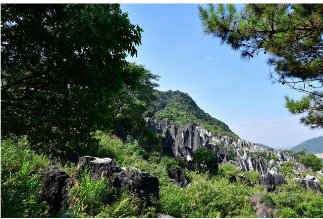 廣西賀州+玉石林+十八水+酒店來回接送