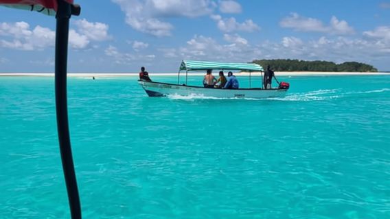 DARI KENDWA; Snorkeling Mnemba dan lawatan Dolphin