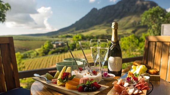 Cape Town: Private Cape Winelands Full-Day Wine Tasting Tour