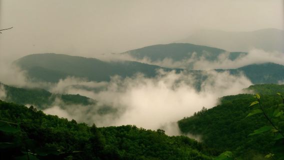 Gatlinburg : randonnée guidée dans les Appalaches des Smoky Mountains