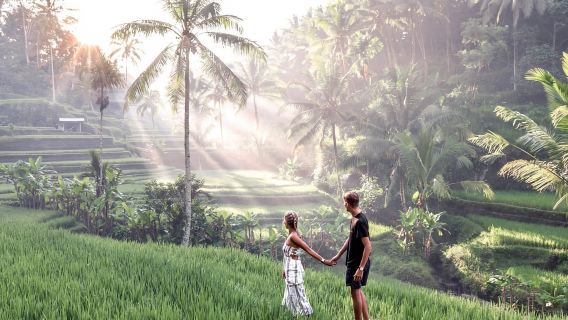 Ubud: Avventura in teleferica, rafting e tour delle terrazze di riso
