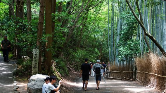 Kyoto: Arashiyama Bamboo, Monkeys, Matcha & UNESCO Temple