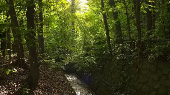 삿포로: 마루야마 산 하이킹 & 오쿠라야마 스키 점프대