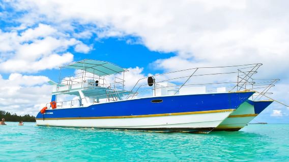 Santo Domingo: gita di un giorno all'Isla Saona con pranzo e catamarano
