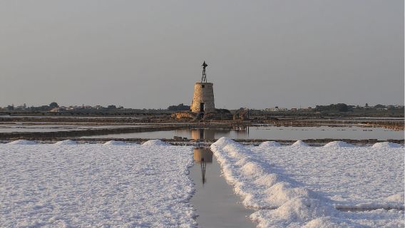 จากปาแลร์โม: ทัวร์เอริเชและเกลือมาร์ซาลา น้ำมันมะกอก และไวน์