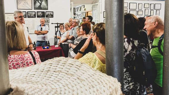 Jaén: Guided Olive Mill Tour with Olive Oil Tasting