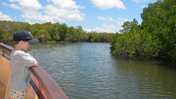 Port Douglas: crociera sul fiume, avvistamento di coccodrilli, drink/spuntino