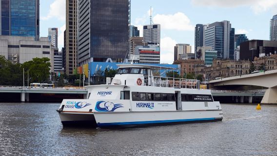 Crucero por el río Brisbane y visita al santuario de koalas