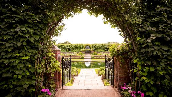Londen: rondleiding door Kensington Palace, wisseling van de wacht en afternoon tea