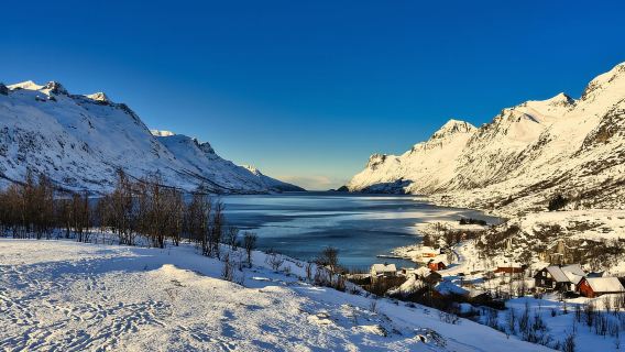 Tromsø: Fjords & Sommarøy Tour with Warm Local Lunch Option