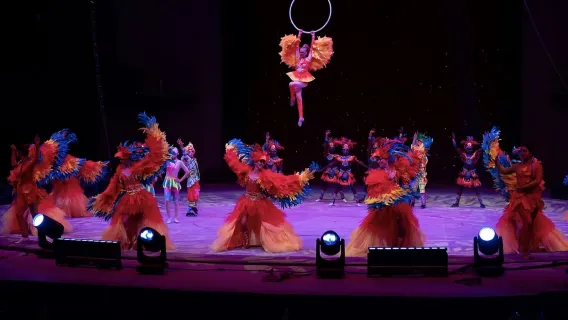 Wenzhou fantastic sunbird international circus show ticket (fantasy circus feast + family-friendly check-in)