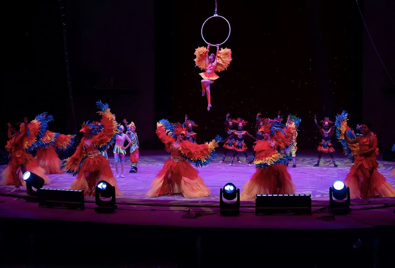 Wenzhou Wonderland|Yang|Bird International Circus Show Ticket (Fantasy Circus Gala + Family-Friendly Experience + Magical Performance)