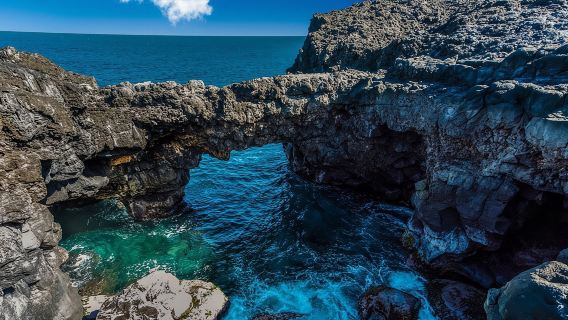 Ngắm Cá Heo & Khám Phá Bờ Biển Phía Nam Bằng Xe 4x4 Với Cầu Đá Tự Nhiên & Bữa Trưa