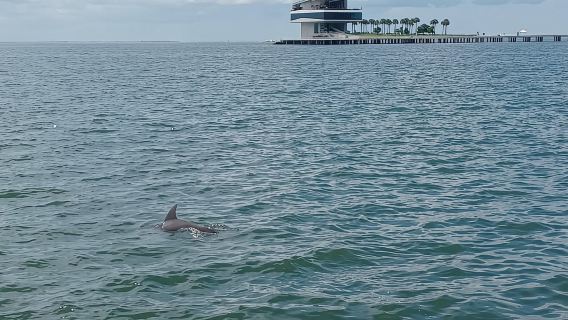 St. Petersburg: Scenic Segway Tour