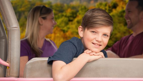 From Pigeon Forge: Roaring Fork 2.5-Hour Jeep Tour