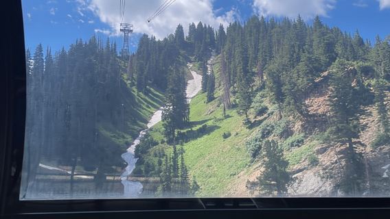Snowbird Summer Excursion Day Tour
