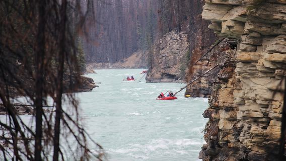 Jasper: Familien-Rafting im Canyon Run