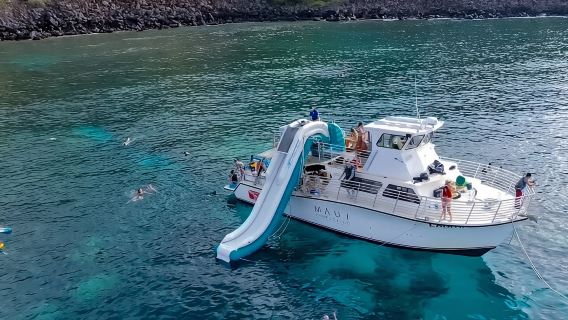 Small Group Coral Gardens Snorkel & Waterslide Adventure