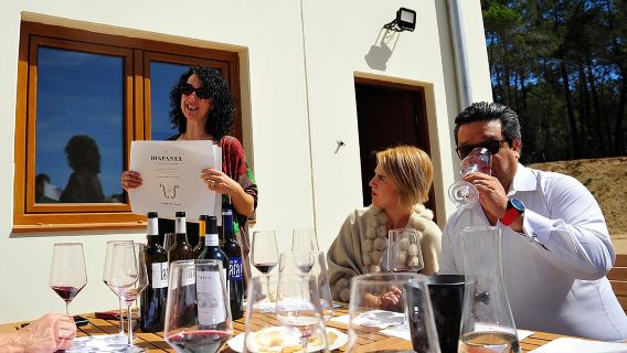 Ribera del Duero Wineries Guided Tour & Wine Tasting from Madrid