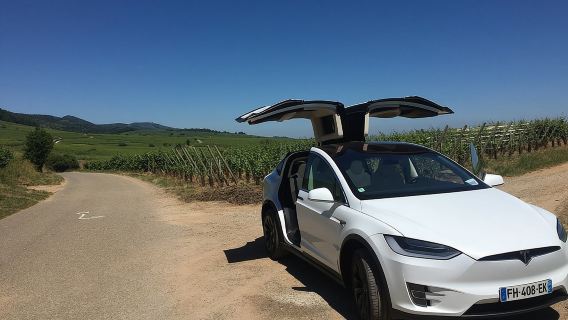 FULL DAY ALSACE PRIVATE TOUR : Tailored by your Friendly Driver