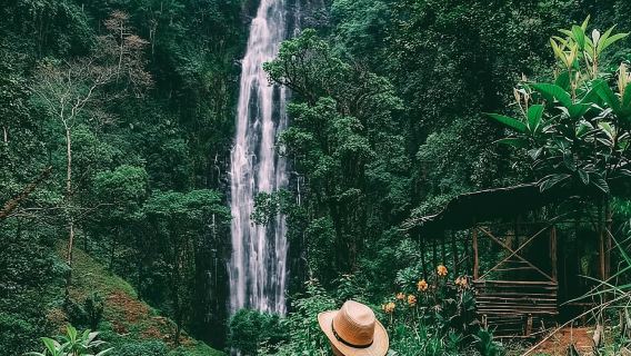 Materuni Waterfalls, coffee tour & Kikuletwa Hot Springs