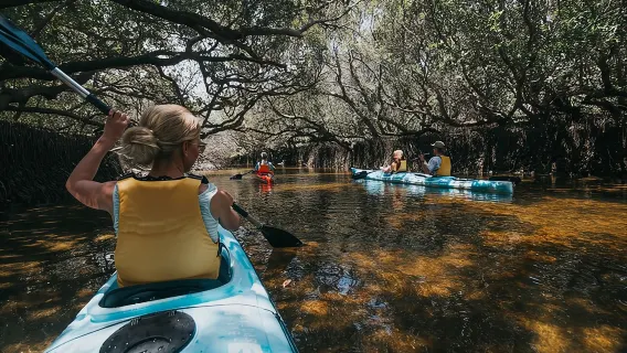 Tour in kayak al Santuario dei Delfini ad Adelaide