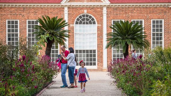 Tour guidato della tenuta di Mount Vernon e della Città Vecchia di Alexandria da Washington D.C.