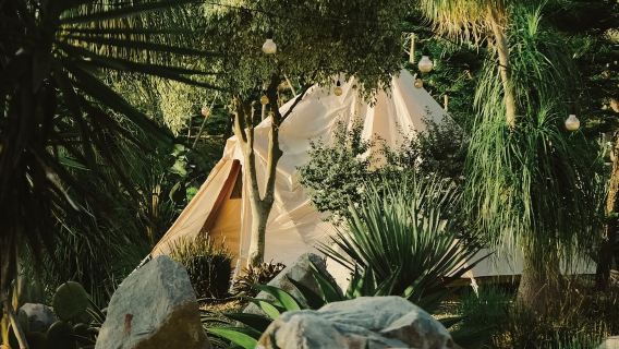 苗栗・宿泊キャンプ【自然圏農場|テーマ型リゾート農場 / 泉池の手ぶらキャンプ|一部土曜日は確実に空きあり】