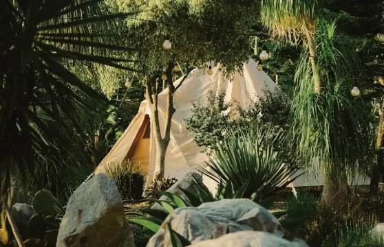 苗栗·過夜露營【自然圈農場|主題式度假農場 / 泉池懶人露營|部分週六保證有位】