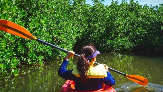 Tour in kayak tropicale e avventura sull'isola di Fort Lauderdale