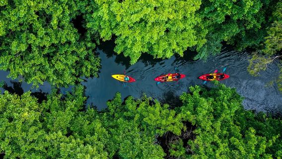 Nachmittags geführte Kajaktour auf dem Tamarin-Fluss