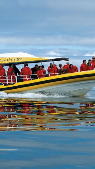 Tasmania Tasman Island 3 hr cruise optional Port Arthur/Devil Park