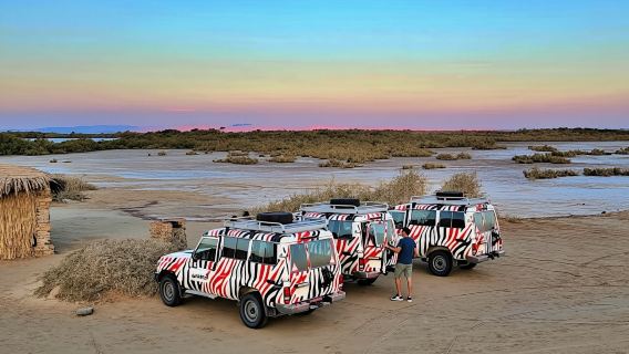 Half-day Nabq National Park safari with lunch in a bedouin tent