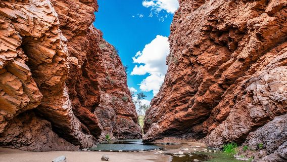 Best of Alice Spring tour