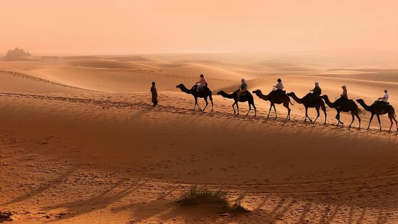 Excursion d'une demi-journée dans la Vallée du Paradis au départ d'Agadir avec balade à dos de chameau et déjeuner