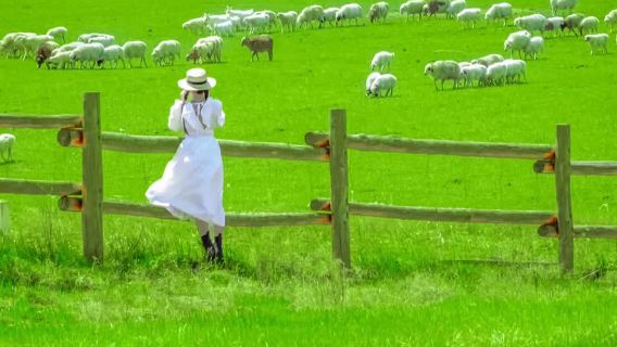 однодневный тур в Хух-Хото и Шираму-Халун | только отдых без шопинга | верховая езда | блюдо из баранины "шоу па ян жоу" |