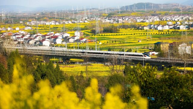 漢中新集岳嶺高鐵穿梭油菜花海+龍頭山度假區【2-6人小團】