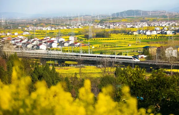 6人團-漢中油菜花新集嶽嶺+新街子梅林+武侯墓+元墩龍灣