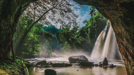 Khao Yai National Park one-day tour from Bangkok, Thailand (with professional guide+ admission ticket)