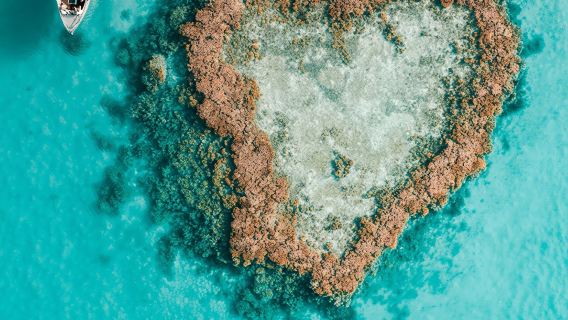 Tur Helikopter Heart Reef Kepulauan Whitsunday (berhenti 90 menit di Heart Reef, termasuk peralatan snorkeling, perahu berlantai kaca, serta penjemputan dan pengantaran hotel)