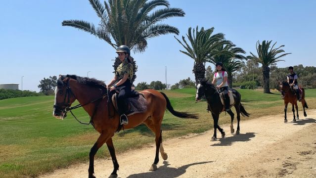 Paseo a caballo con traslado privado