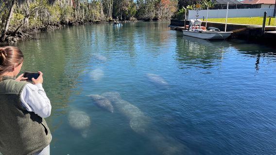 Excursiones ecológicas a Kings Bay