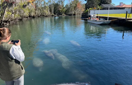 國王灣生態之旅