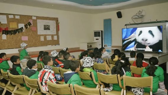 臥龍中華大熊貓苑神樹坪基地熊貓義工體驗（含入場門票+午餐+證書）