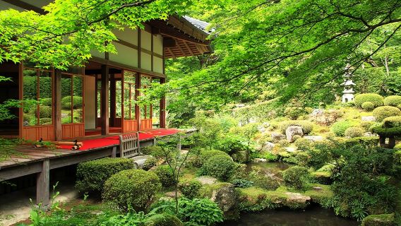 one-day tour to Kifune Shrine, Arashiyama, and Sanzen-in Temple in Osaka, Japan