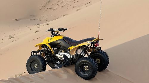 Abu Dhabi: 4-Hour Morning Safari with Camel Ride & Sand boarding Day Tours 2