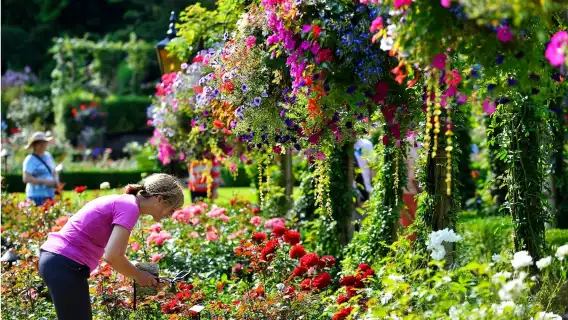 維多利亞＆海灣群島遊船巡航＆布查德花園之旅（溫哥華出發）