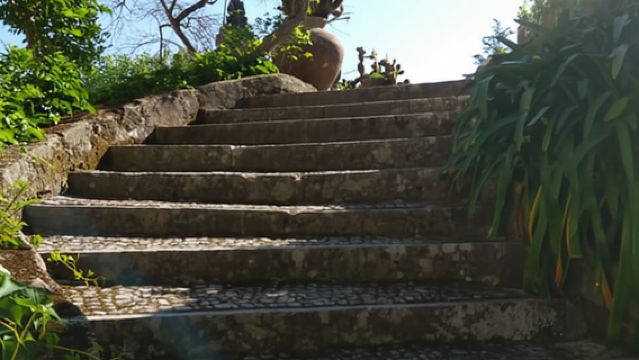 Setúbal: Market, Tiles and Wine (From Lisbon)