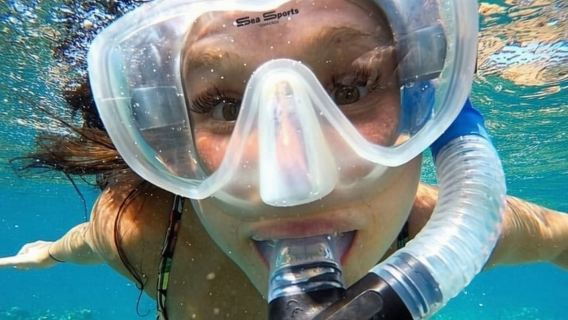 Maui: ทัวร์ดำน้ำตื้น Molokini Express - 2 ชั่วโมง